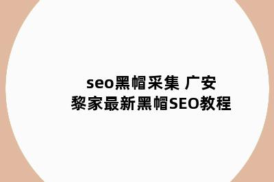 seo黑帽采集 广安黎家最新黑帽SEO教程